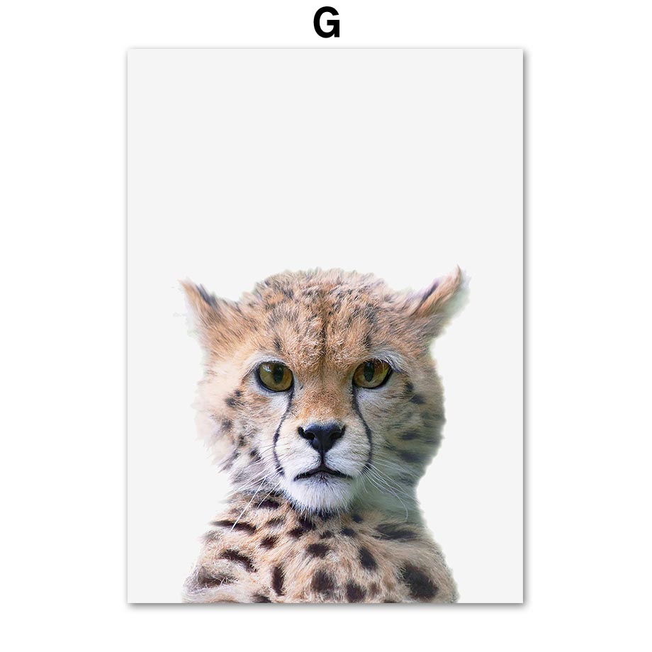 Baby Nursery Zoo Animals - Baby Safari Animal Nursery Wall Art